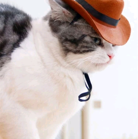 Cowboy hat for small pets - Picture 4 of 4